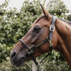 Élevage|Licols En Cuir*Kentucky Horsewear - Licol anatomique en cuir vegan noir