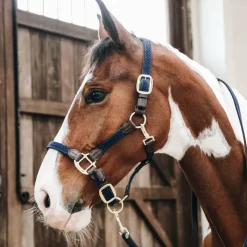Élevage|Collection "Minis" Kentucky*Kentucky Horsewear - Licol nylon tressé Marine