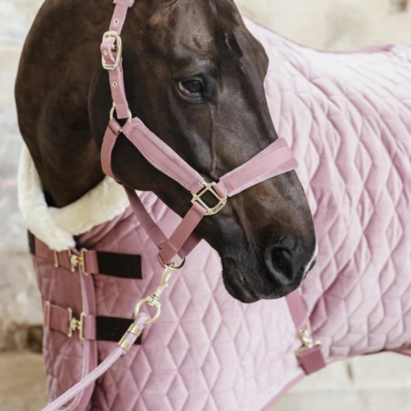 Licols En Nylon*Kentucky Horsewear - Licol Velvet vieux Rose