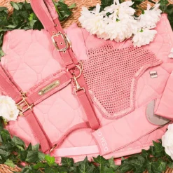 Licols En Nylon*Kentucky Horsewear - Licol Velvet vieux Rose