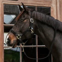 New - Licol cheval nylon tressé Licols En Nylon