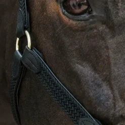 New - Licol cheval nylon tressé Licols En Nylon