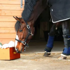 New - Licol cheval nylon tressé Licols En Nylon