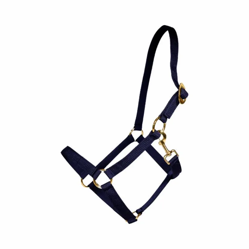 Collection "Minis" Kentucky|Licols Poneys*Kentucky Horsewear - Licol Nylon Marine