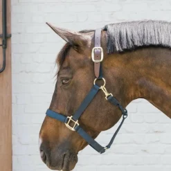 Clearance - Licol nylon Breakaway Collection 