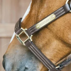 Online - Licol en cuir Wellington brun Collection 