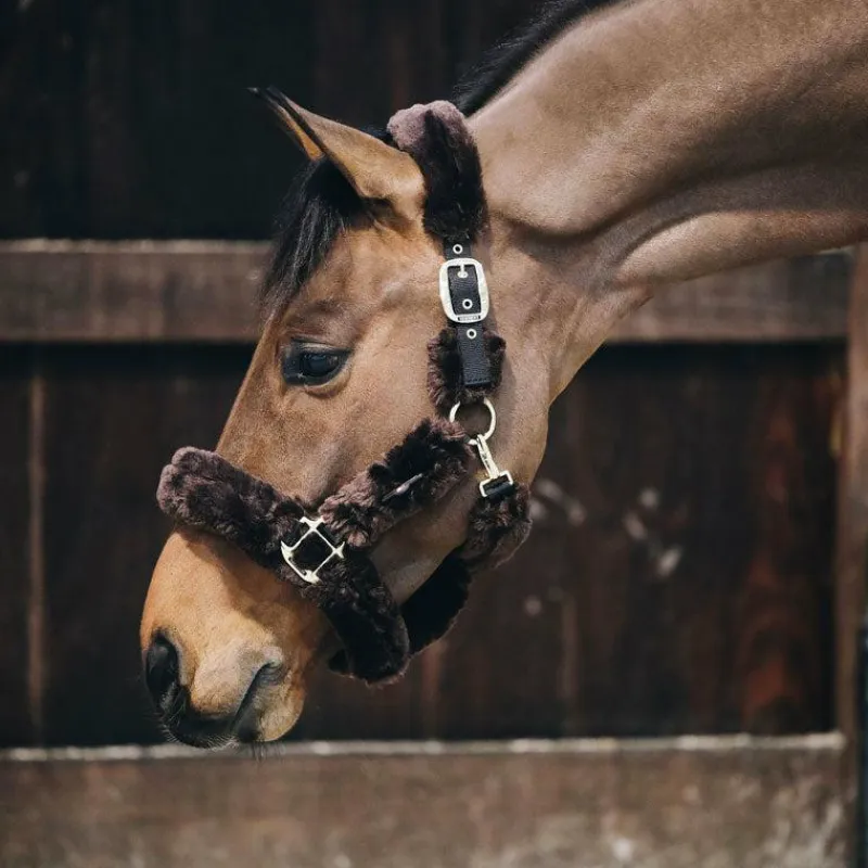 Collection "Minis" Kentucky|Licols Poneys*Kentucky Horsewear - Licol de transport mouton Marron