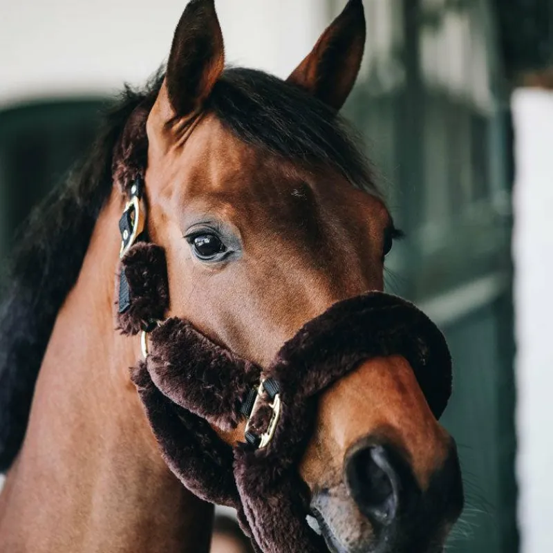 Collection "Minis" Kentucky|Licols Poneys*Kentucky Horsewear - Licol de transport mouton Marron