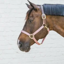 Collection "Minis" Kentucky|Licols Poneys*Kentucky Horsewear - Licol nylon Breakaway vieux Rose