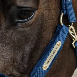 Licols En Nylon*Kentucky Horsewear - Licol Velvet Marine