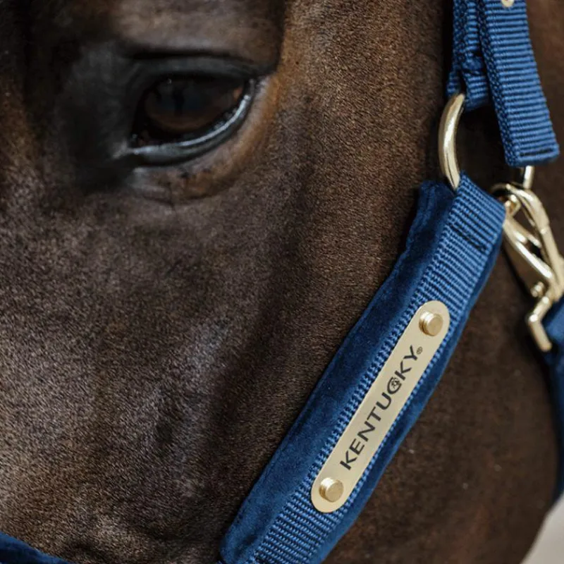 Licols En Nylon*Kentucky Horsewear - Licol Velvet Marine