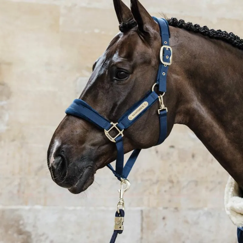 Licols En Nylon*Kentucky Horsewear - Licol Velvet Marine