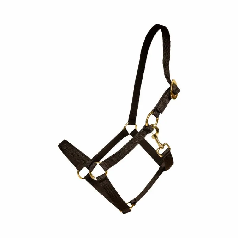 Sale - Licol Nylon Collection "Minis" Kentucky|Licols Poneys