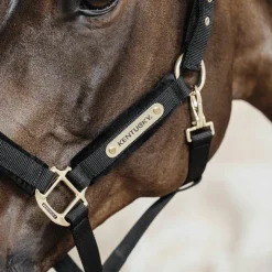 Best - Licol Velvet Licols En Nylon