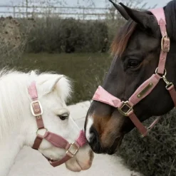 Online - Licol velvet paillette vieux Collection 