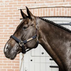 Licols En Nylon*Kentucky Horsewear - Licol anatomique nylon Marine