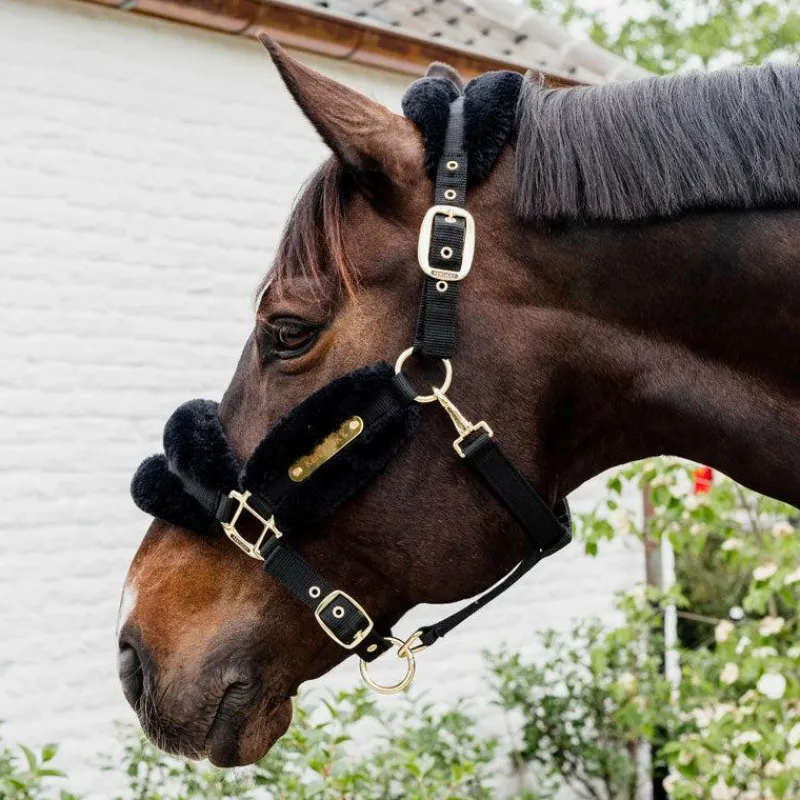 Collection "Minis" Kentucky|Licols Poneys*Kentucky Horsewear - Licol nylon mouton soft Noir