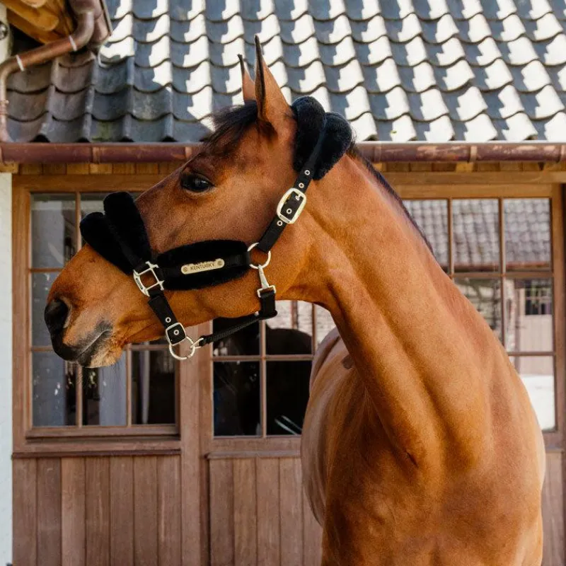 Collection "Minis" Kentucky|Licols Poneys*Kentucky Horsewear - Licol nylon mouton soft Noir