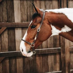 Élevage|Grooming*Kentucky Horsewear - Licol de pansage Marron