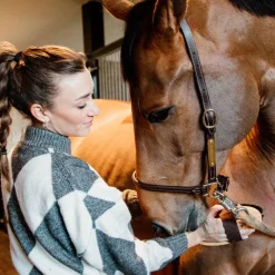 Élevage|Grooming*Kentucky Horsewear - Licol de pansage Marron