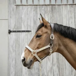 Licols En Nylon*Kentucky Horsewear - Licol anatomique nylon Beige