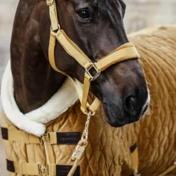 Licols En Nylon*Kentucky Horsewear - Licol Velvet moutarde