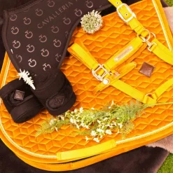 Licols En Nylon*Kentucky Horsewear - Licol Velvet moutarde