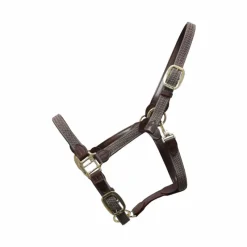 Licols En Nylon*Kentucky Horsewear - Licol cheval nylon tressé Gris