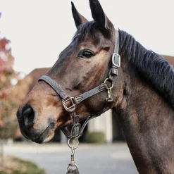 Licols En Nylon*Kentucky Horsewear - Licol cheval nylon tressé Gris