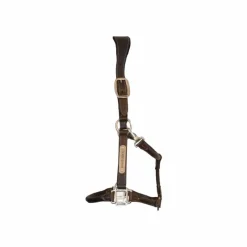 Hot - Licol cheval anatomique Élevage|Licols En Cuir