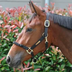 Licols En Nylon*Kentucky Horsewear - Licol cheval Control Noir