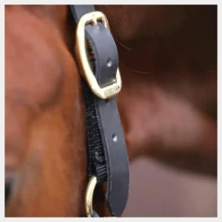 Licols En Nylon*Kentucky Horsewear - Licol cheval Control Noir