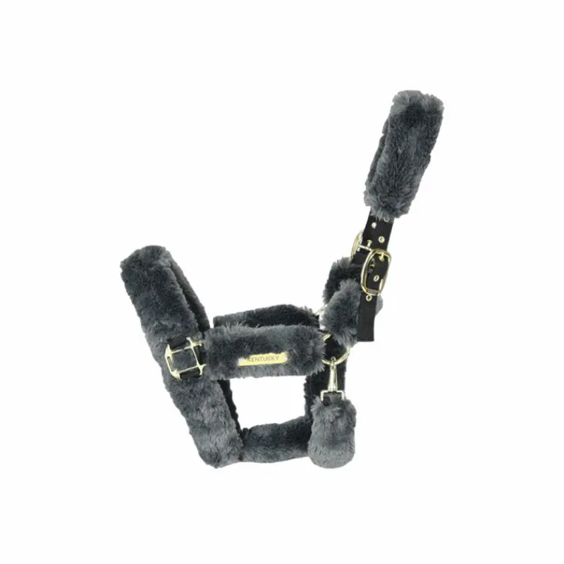 Best - Licol de transport mouton gris Collection "Minis" Kentucky|Licols Poneys