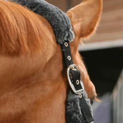 Best - Licol de transport mouton gris Collection "Minis" Kentucky|Licols Poneys