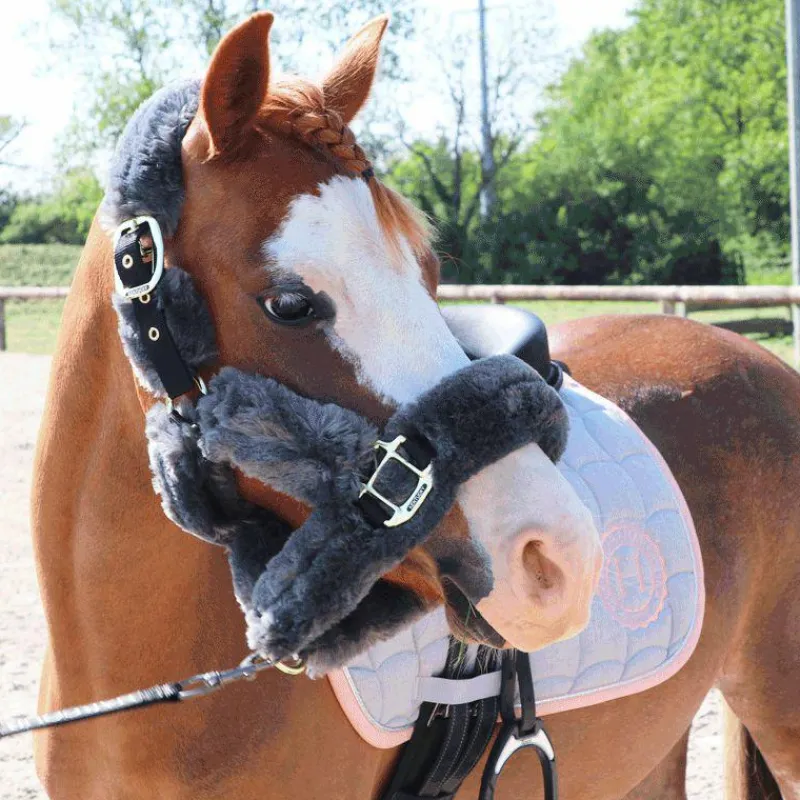 Best - Licol de transport mouton gris Collection "Minis" Kentucky|Licols Poneys