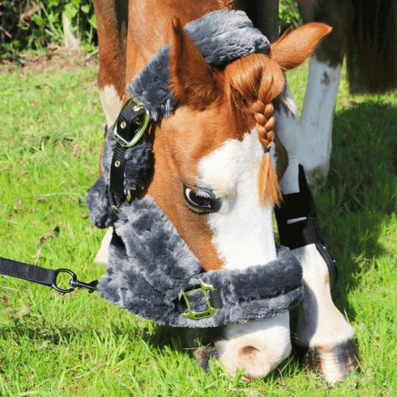 Best - Licol de transport mouton gris Collection "Minis" Kentucky|Licols Poneys