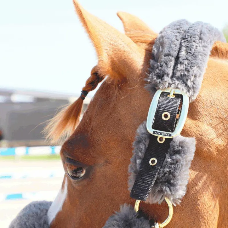 Best - Licol de transport mouton gris Collection "Minis" Kentucky|Licols Poneys