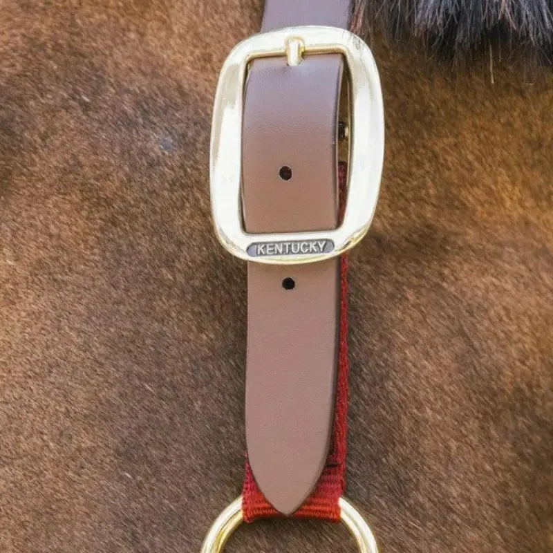 Sale - Licol nylon Breakaway Collection "Minis" Kentucky|Licols Poneys