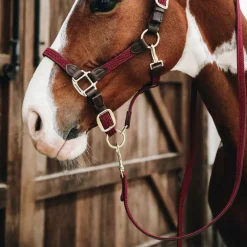 Longes Classiques*Kentucky Horsewear - Longe nylon tressé 2m Bordeaux