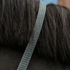 New - Longe nylon tressé 2 m Longes Classiques