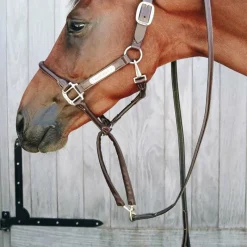 Élevage|Longes De Présentation*Kentucky Horsewear - Longe de présentation recouverte de cuir Marron