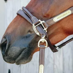 Élevage|Longes De Présentation*Kentucky Horsewear - Longe de présentation recouverte de cuir Marron