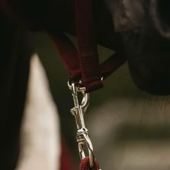 Discount - Longe nylon 2m Longes Classiques