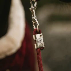 Discount - Longe nylon 2m Longes Classiques