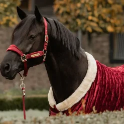 Discount - Longe nylon 2m Longes Classiques