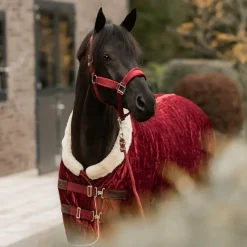 Discount - Longe nylon 2m Longes Classiques