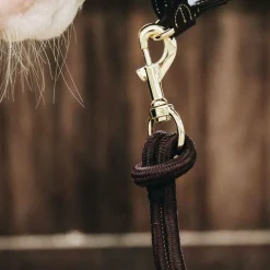 Discount - Longe avec mousqueton chocolat Longes Classiques