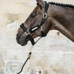 Best - Longe nylon 2m Longes Classiques