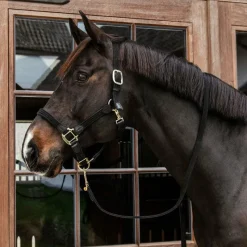 Longes Classiques*Kentucky Horsewear - Longe en nylon tressé noir 2 m