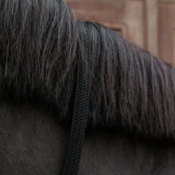 Longes Classiques*Kentucky Horsewear - Longe en nylon tressé noir 2 m